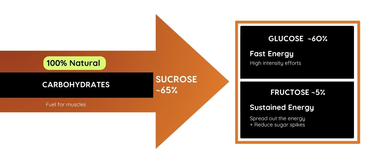mapleROO products based on Pure Canadian maple syrup that provide to athletes natural carbohydrates a fuel for muscles which is divided in  60% natural Glucose for fast energy and 5% Fructose for sustained energy. 